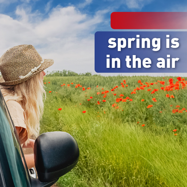 Spring is in the Air mobile banner